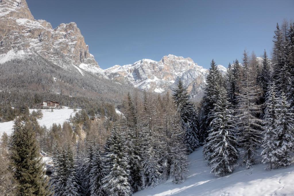 Hotel Ciasa Ai Pini San Cassiano  Extérieur photo