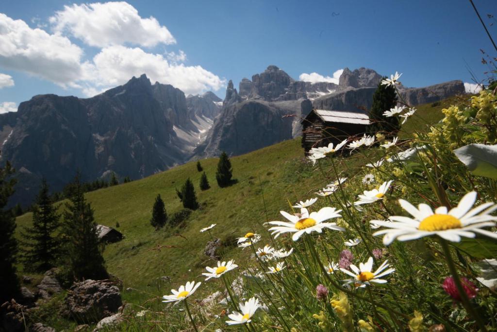 Hotel Ciasa Ai Pini San Cassiano  Extérieur photo