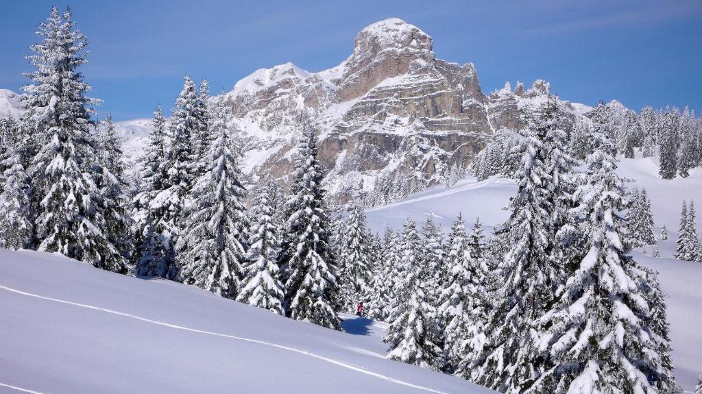 Hotel Ciasa Ai Pini San Cassiano  Extérieur photo